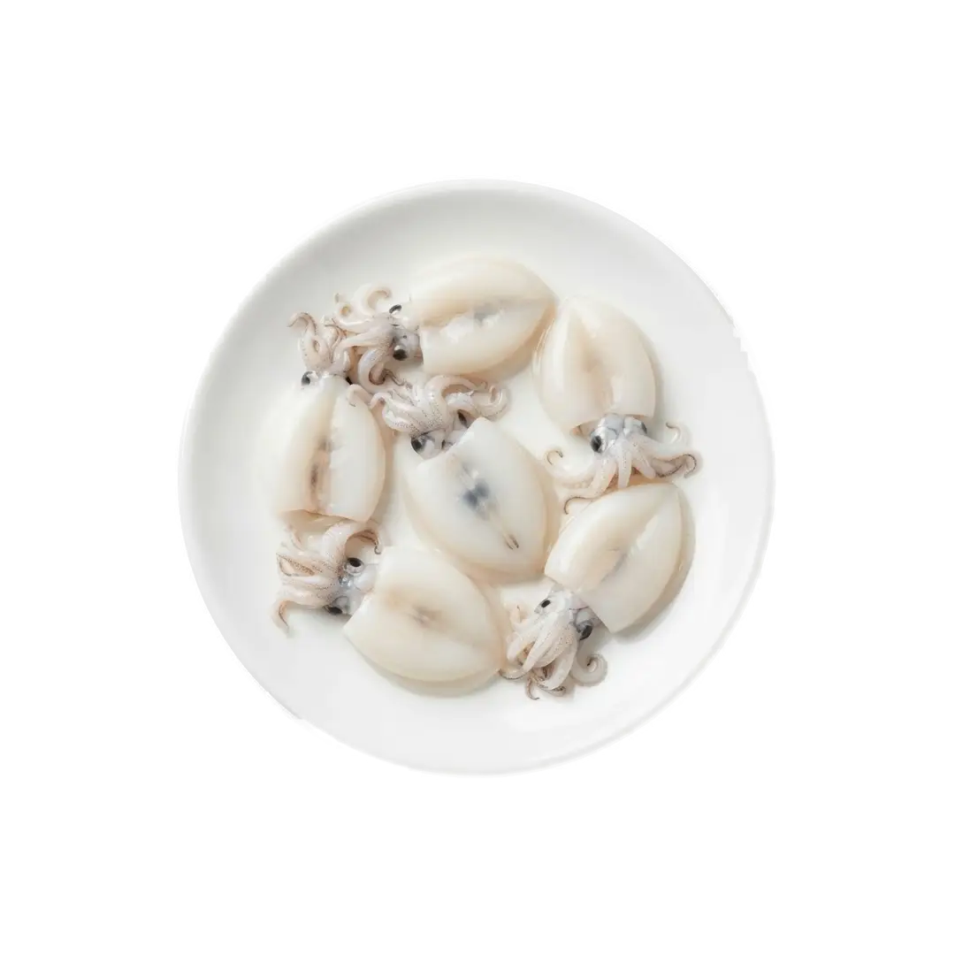 Baby Cuttle Fish