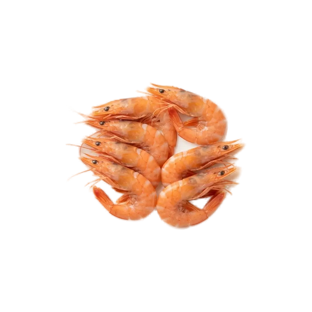 Botan Ebi (2 Kg)