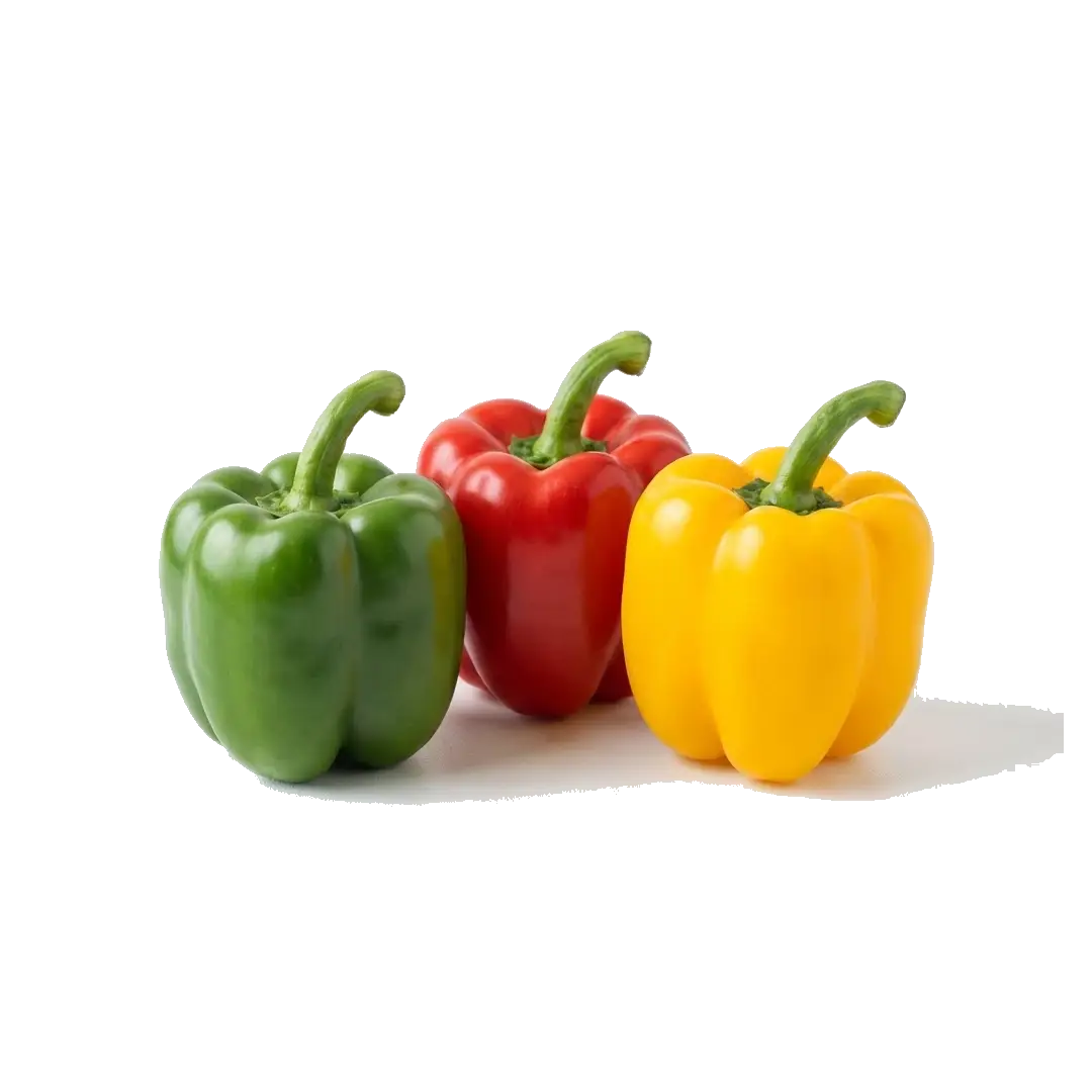 Capsicum (Green/Red/Yellow)