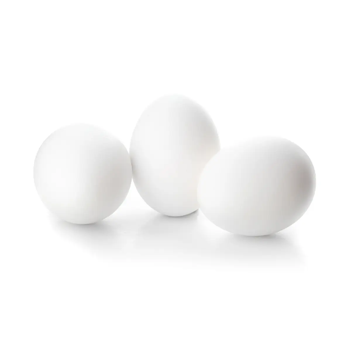Fresh Eggs
