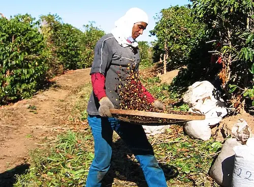 Fair Trade Practices