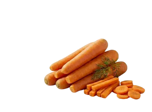 Fresh Carrots