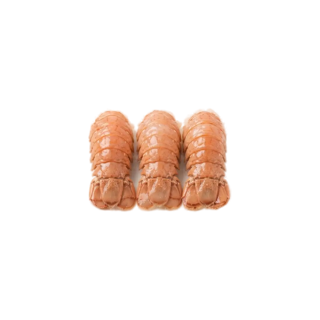 Frozen Slipper Lobster (H/C 250/300, 10 Kg)