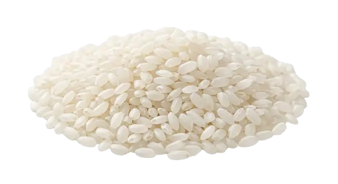 Japonica Rice