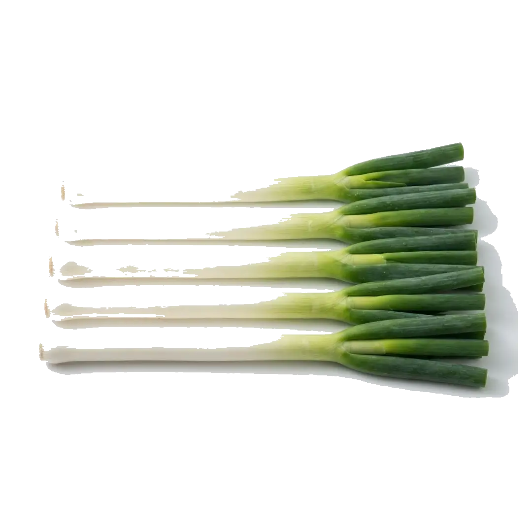 Leek (Shironeji)