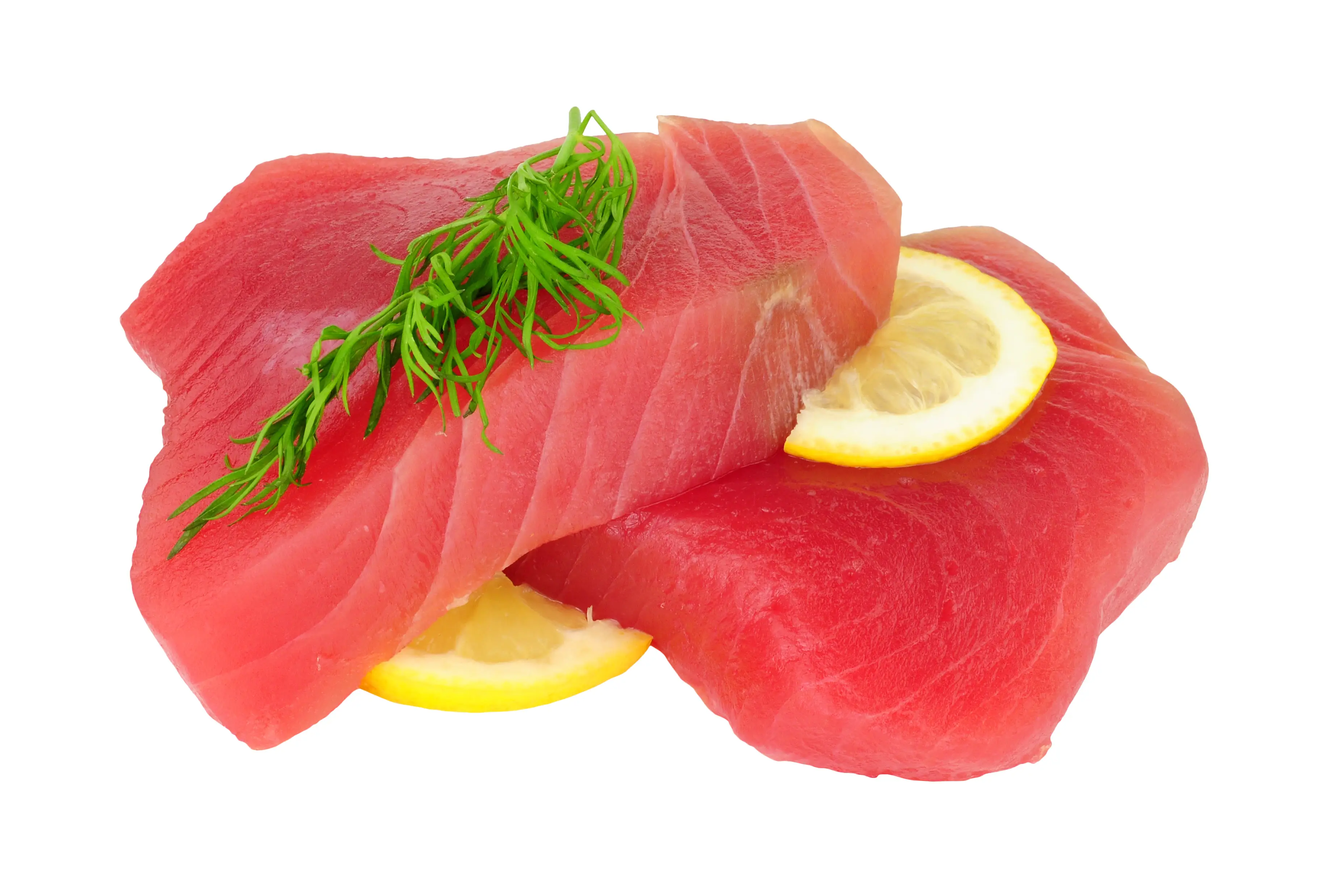 Maguro