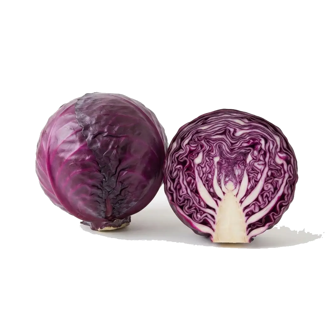 Red Cabbage