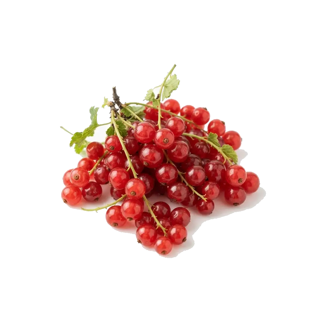 Red Currants