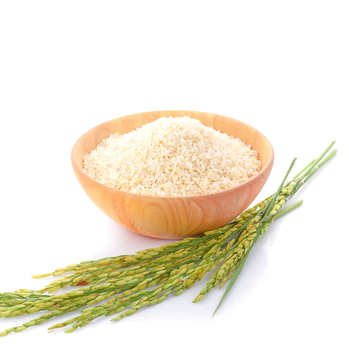 Rice2