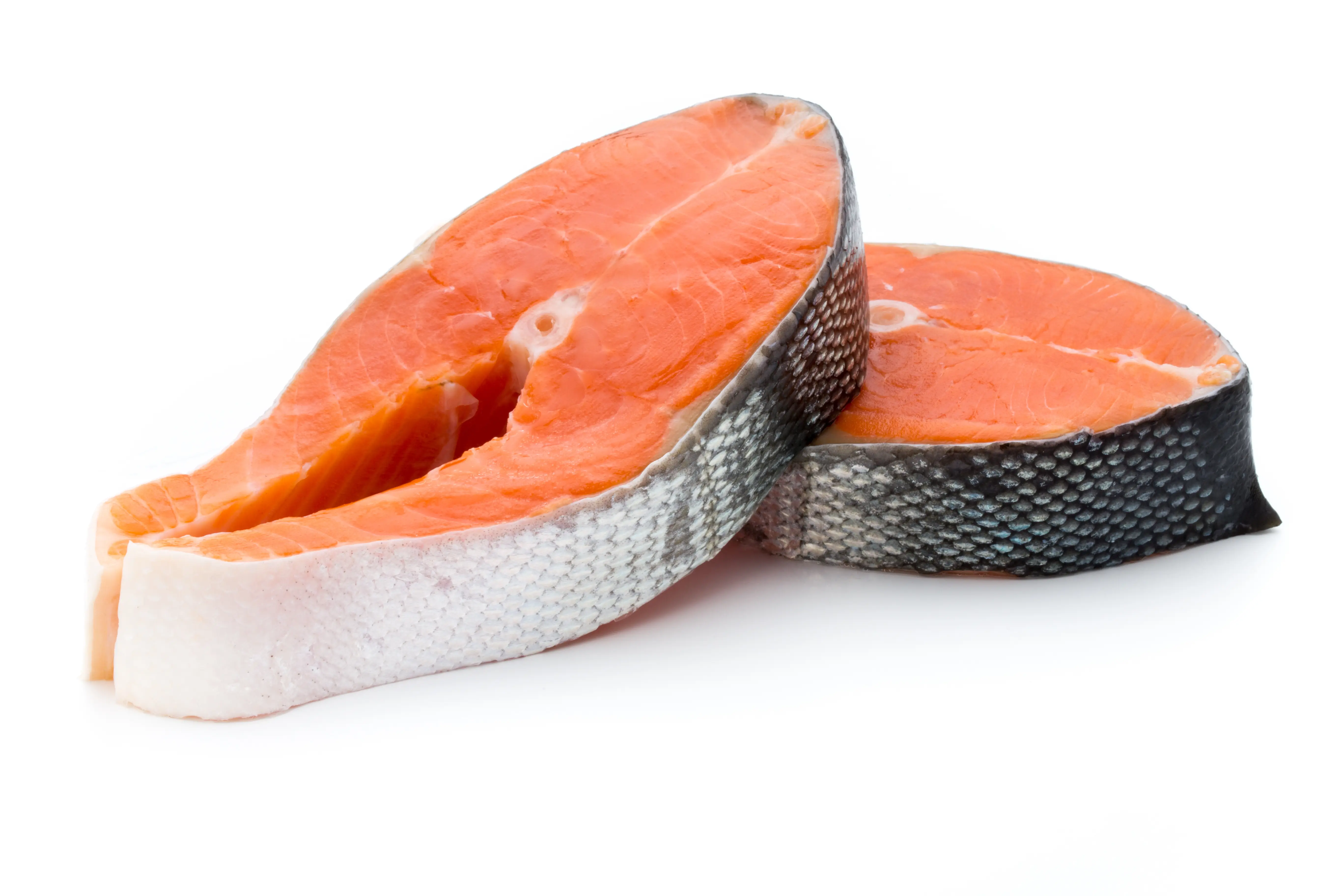 Salmon