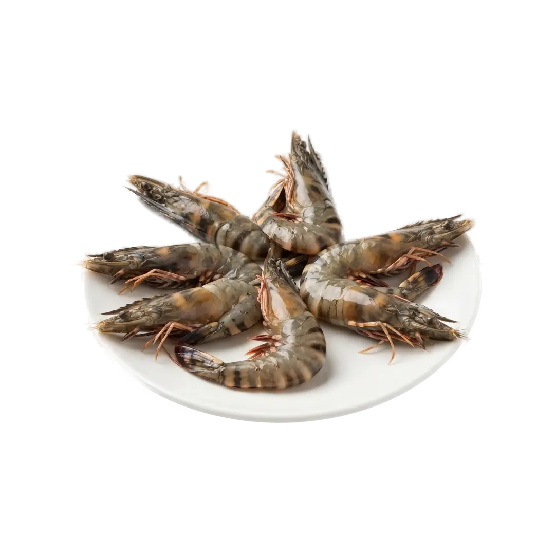 Sustainably Farmed Frozen Black Tiger Prawn Hoso (8/10, 1 Kg)