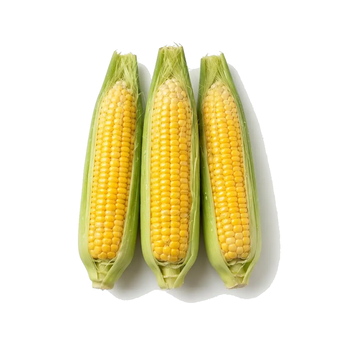 Sweet Corn
