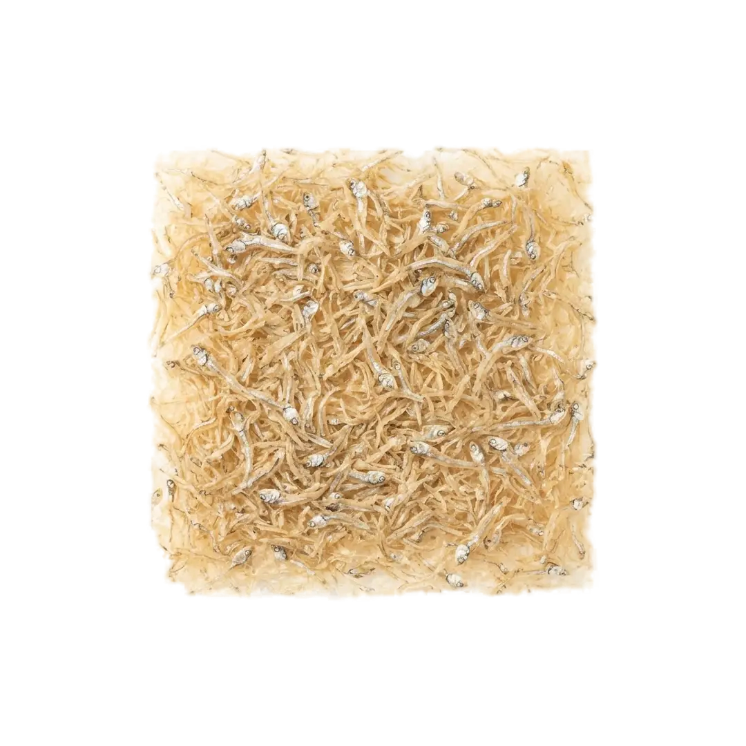 Tatami Iwashi